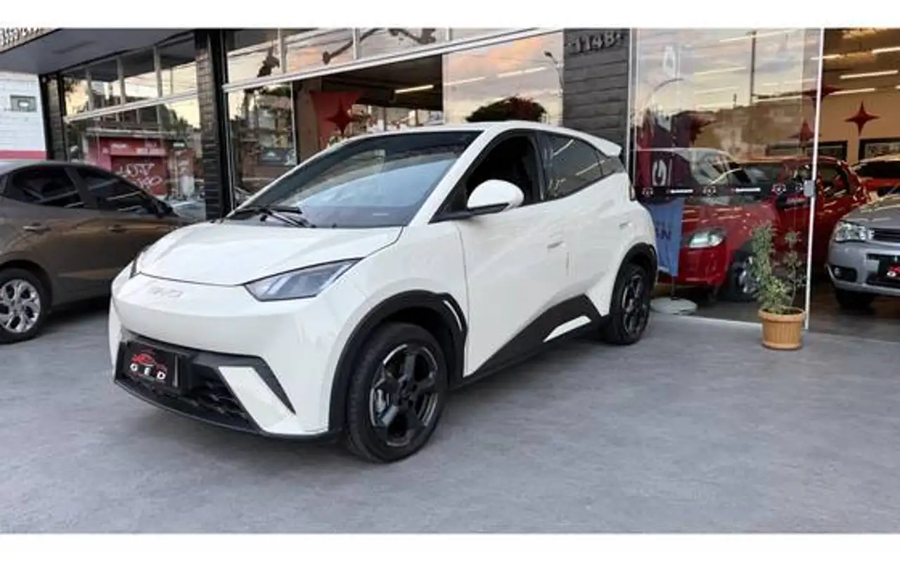 BYD DOLPHIN MINI 38 KW ELÉTRICO — foto 1 de 12