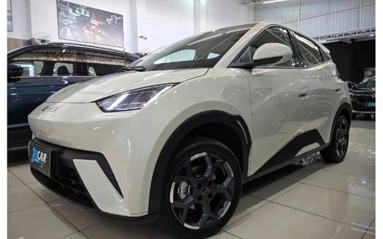 BYD DOLPHIN MINI 38 KW ELÉTRICO GS — foto 1 de 20