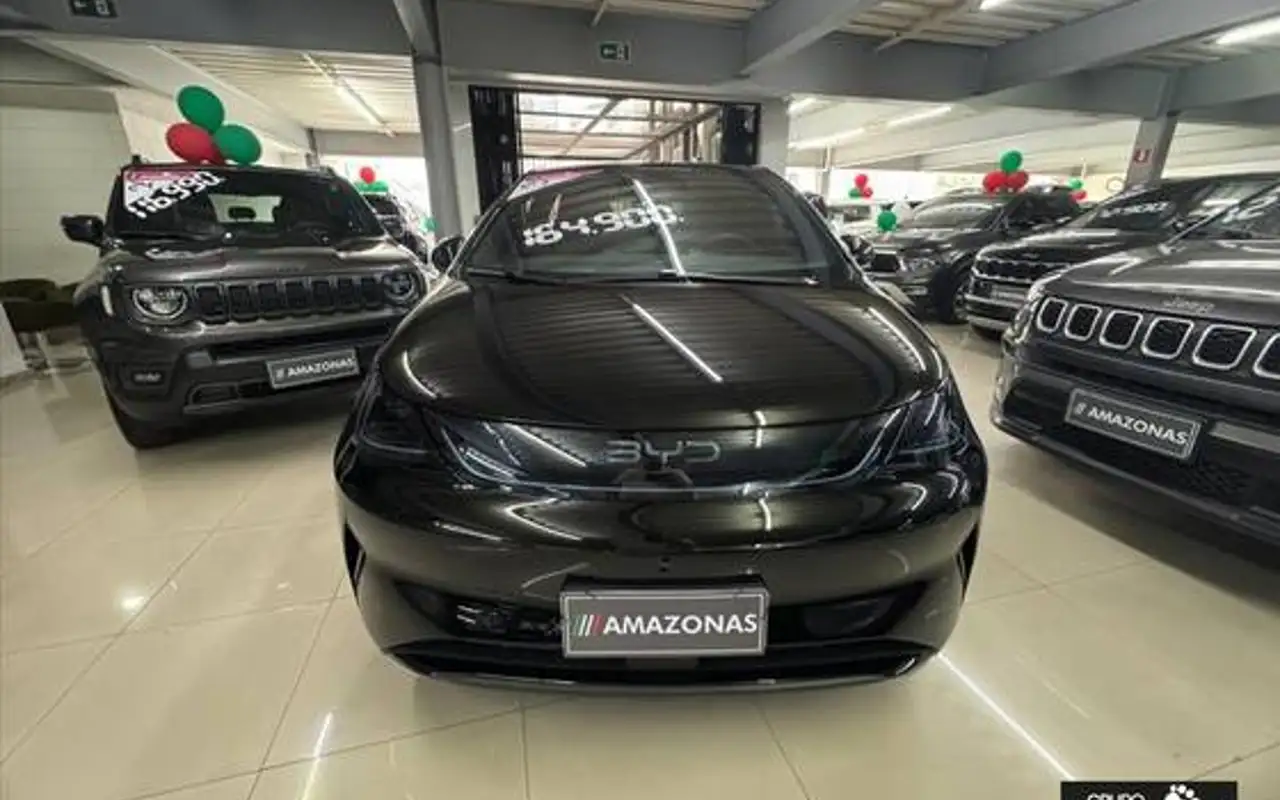 BYD DOLPHIN 45,1 KW ELÉTRICO SE — foto 1 de 17