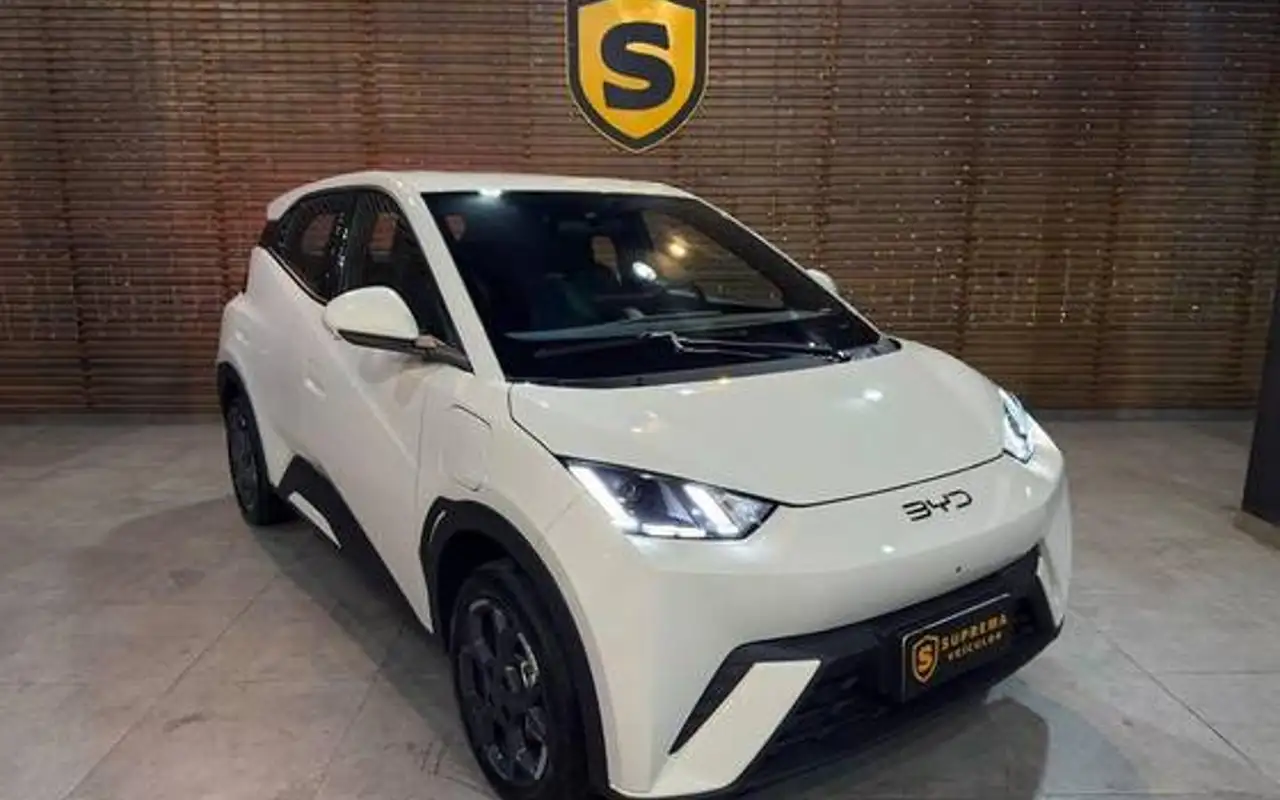 BYD DOLPHIN MINI 38 KW ELÉTRICO GS — foto 1 de 15