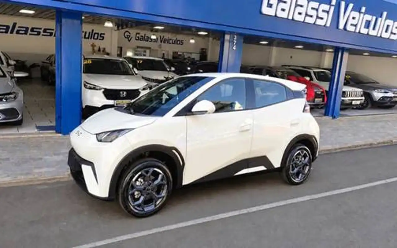 BYD DOLPHIN MINI 38 KW ELÉTRICO GS — foto 1 de 12