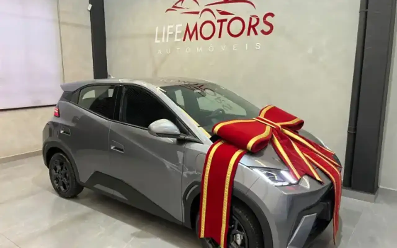 BYD DOLPHIN MINI 38 KW ELÉTRICO GS — foto 1 de 20